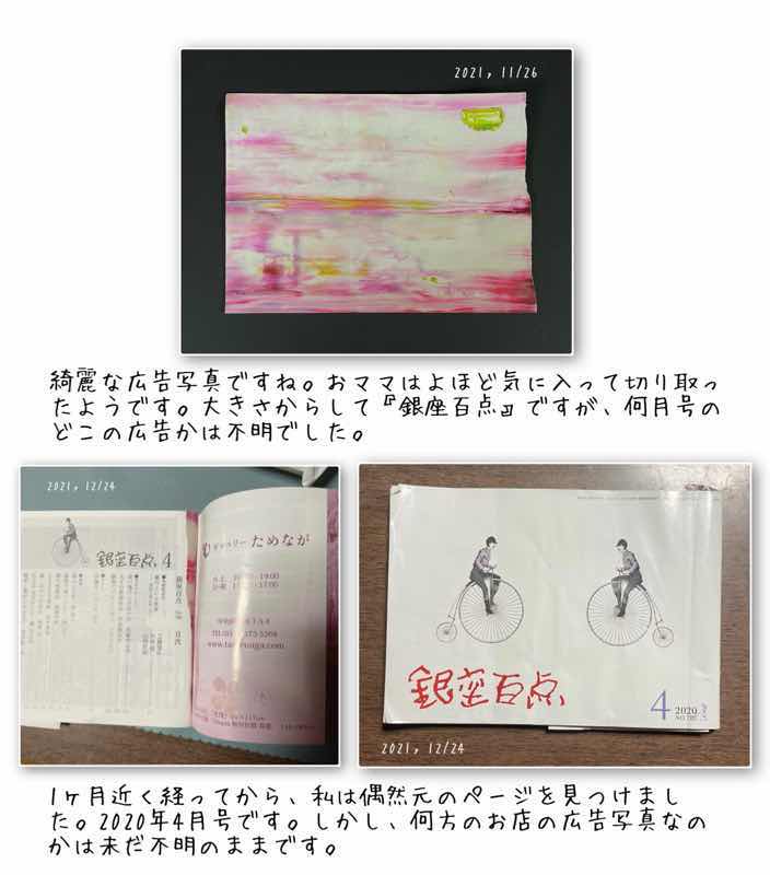 f:id:harienikki:20220201160305j:plain