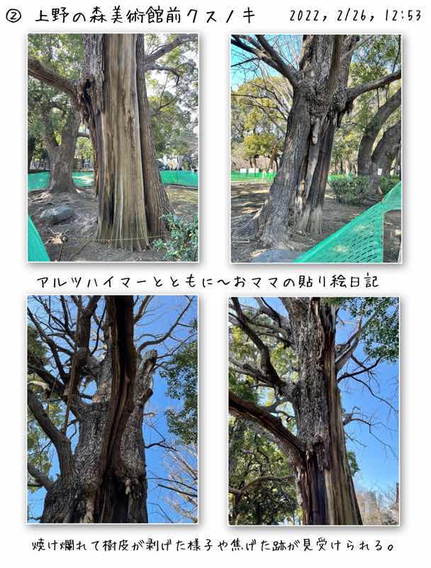 f:id:harienikki:20220310155303j:plain