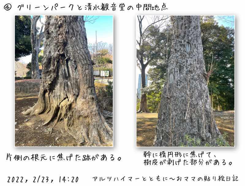f:id:harienikki:20220310155513j:plain