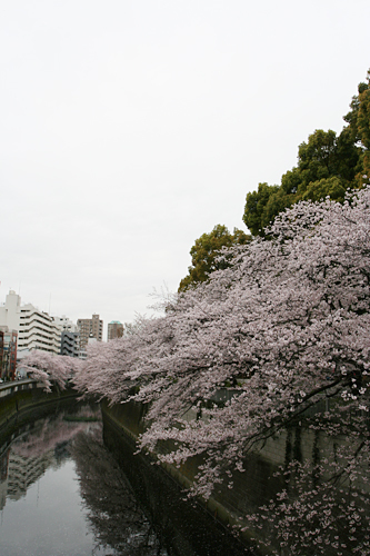 img_5047.jpg