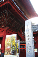 img_7455.jpg