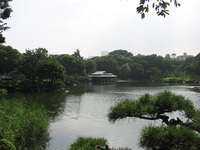 img_7586.jpg