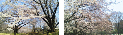 p1000012_16.jpg