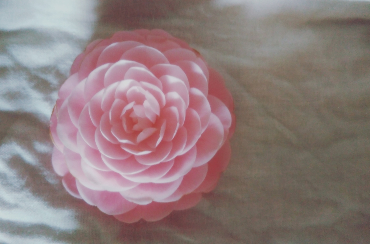 f:id:harikyu-aun:20190425172259j:plain