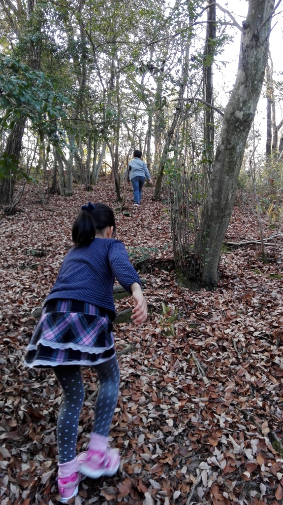 f:id:harikyu-takahashi:20170110110950j:plain f:id:harikyu-takahashi:20170110110950j:plain