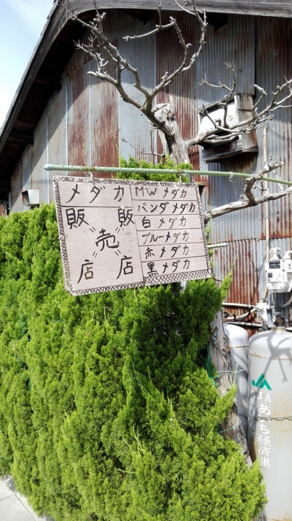 f:id:harikyu-takahashi:20170621125150j:plain