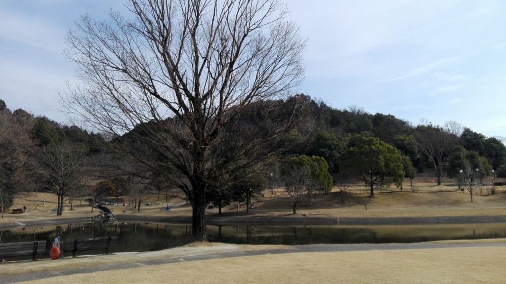 f:id:harikyu-takahashi:20171225121329j:plain