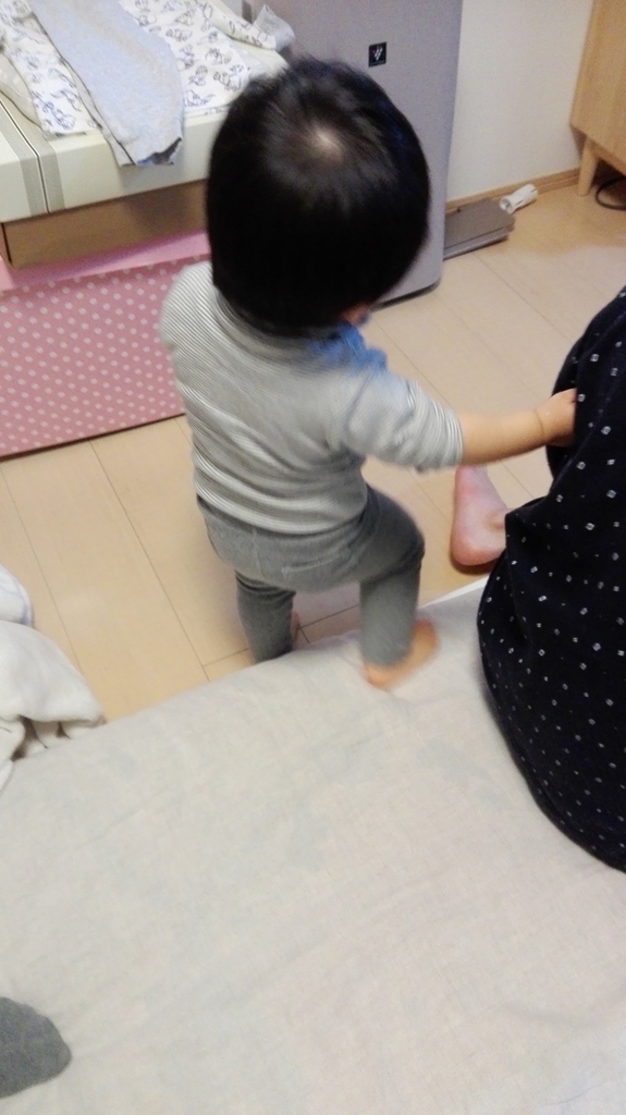 f:id:harikyu-takahashi:20181114083226j:plain