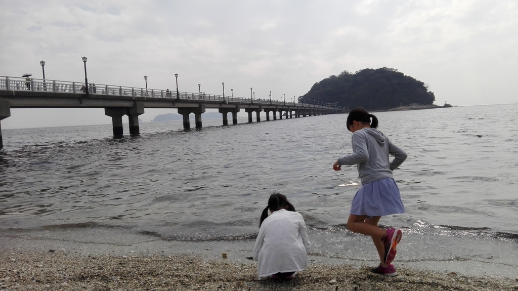 f:id:harikyu-takahashi:20190105001545j:plain f:id:harikyu-takahashi:20190105001545j:plain