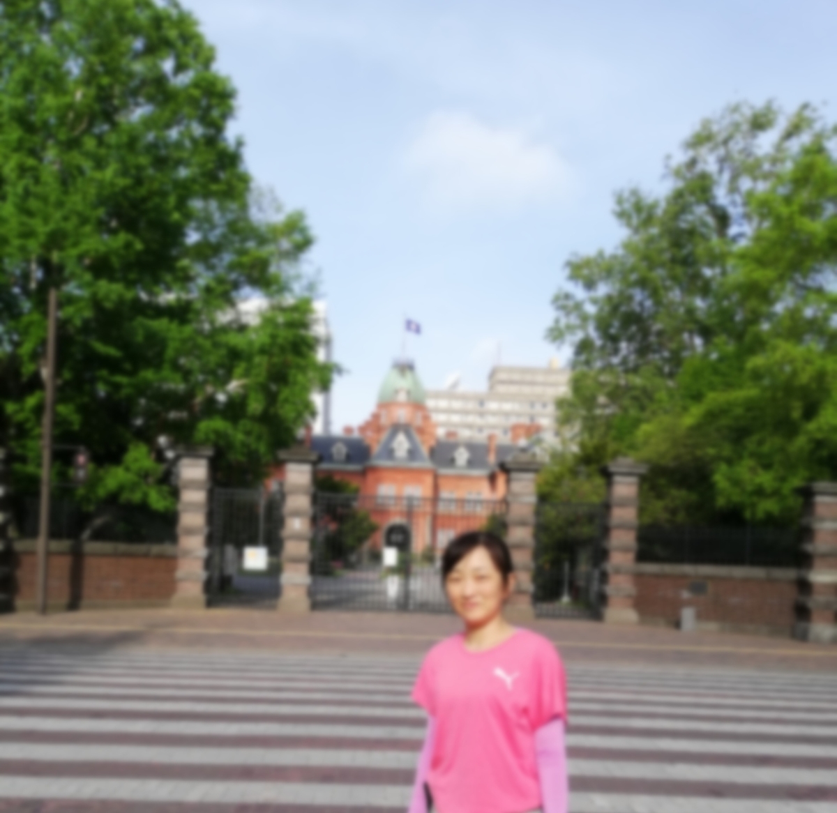 f:id:harikyu-takahashi:20190522141611j:plain