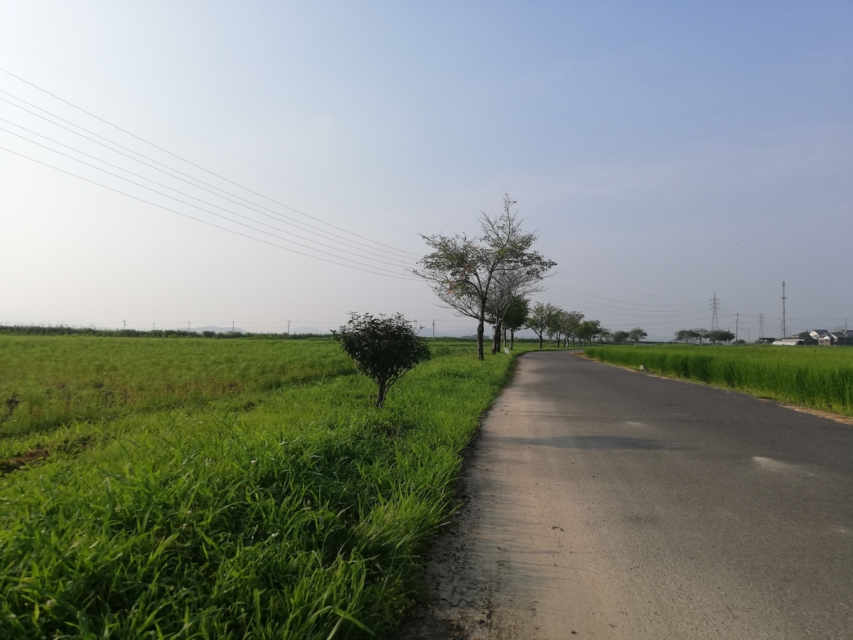 f:id:harikyu-takahashi:20190808181054j:plain