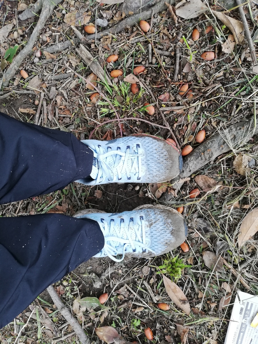 f:id:harikyu-takahashi:20191030160644j:plain f:id:harikyu-takahashi:20191030160644j:plain