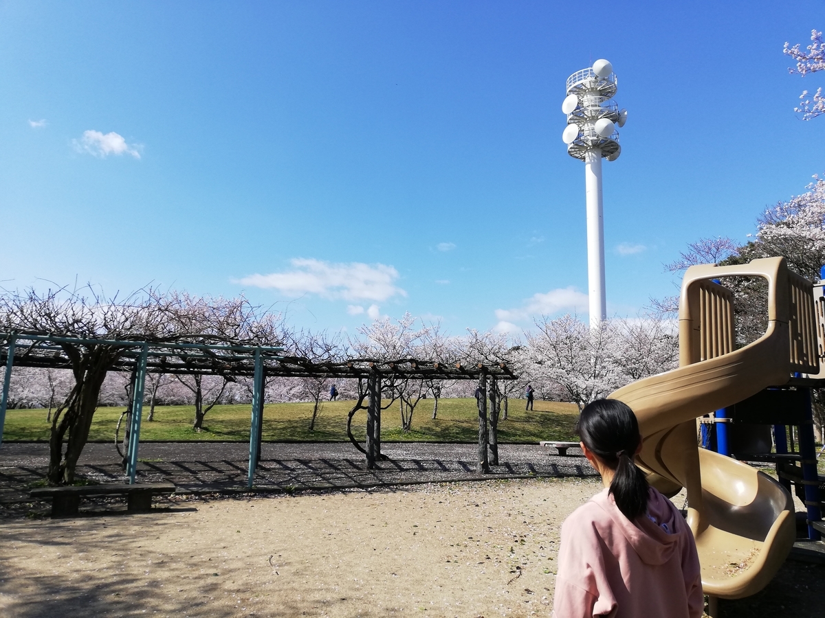 f:id:harikyu-takahashi:20200420070921j:plain