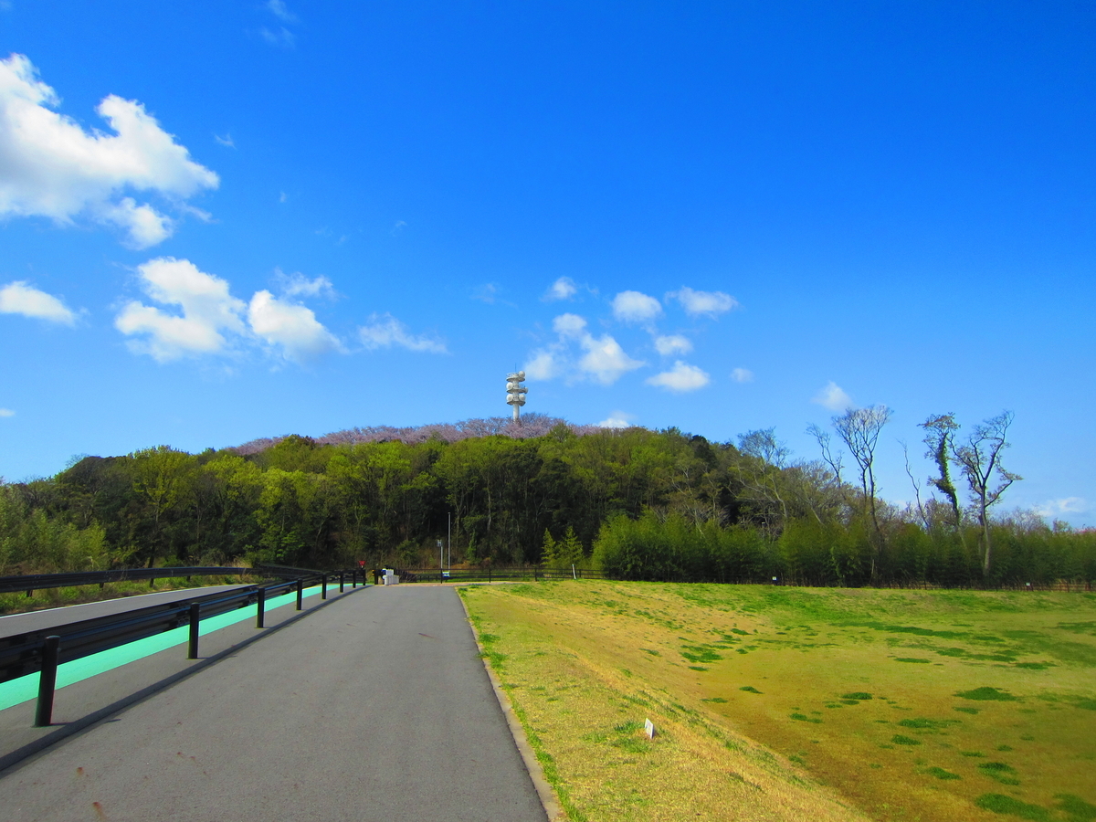 f:id:harikyu-takahashi:20200527085836j:plain f:id:harikyu-takahashi:20200527085836j:plain