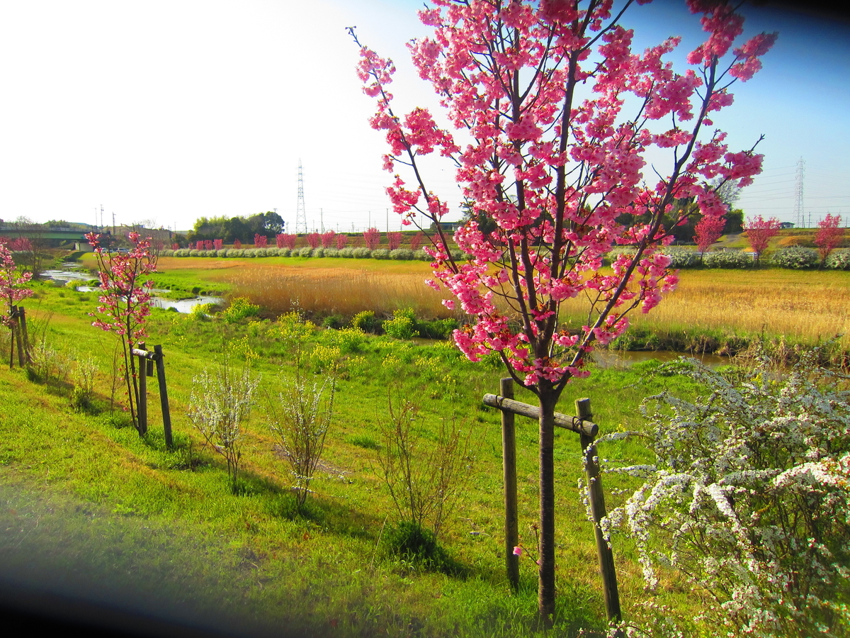 f:id:harikyu-takahashi:20200527091445j:plain