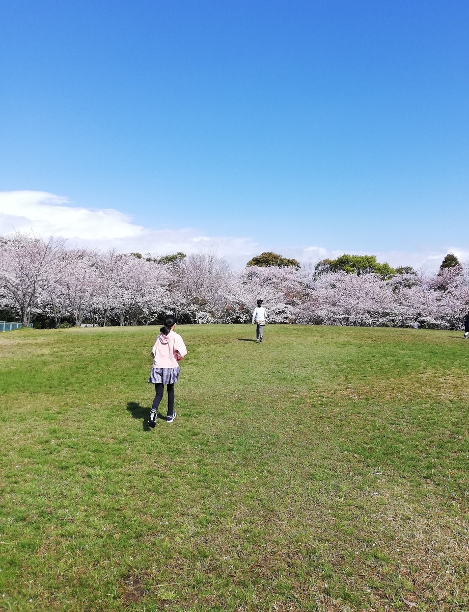 f:id:harikyu-takahashi:20200731155753j:plain