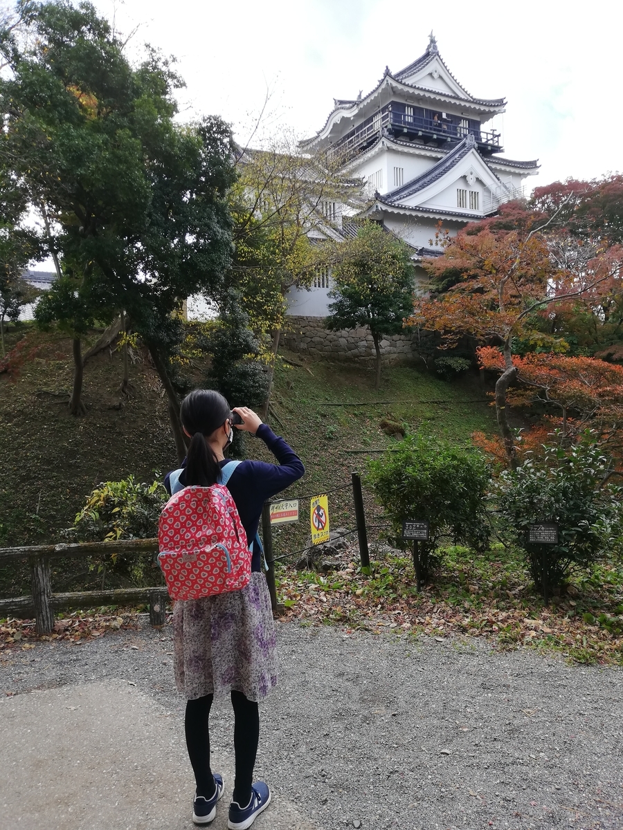 f:id:harikyu-takahashi:20201221202534j:plain