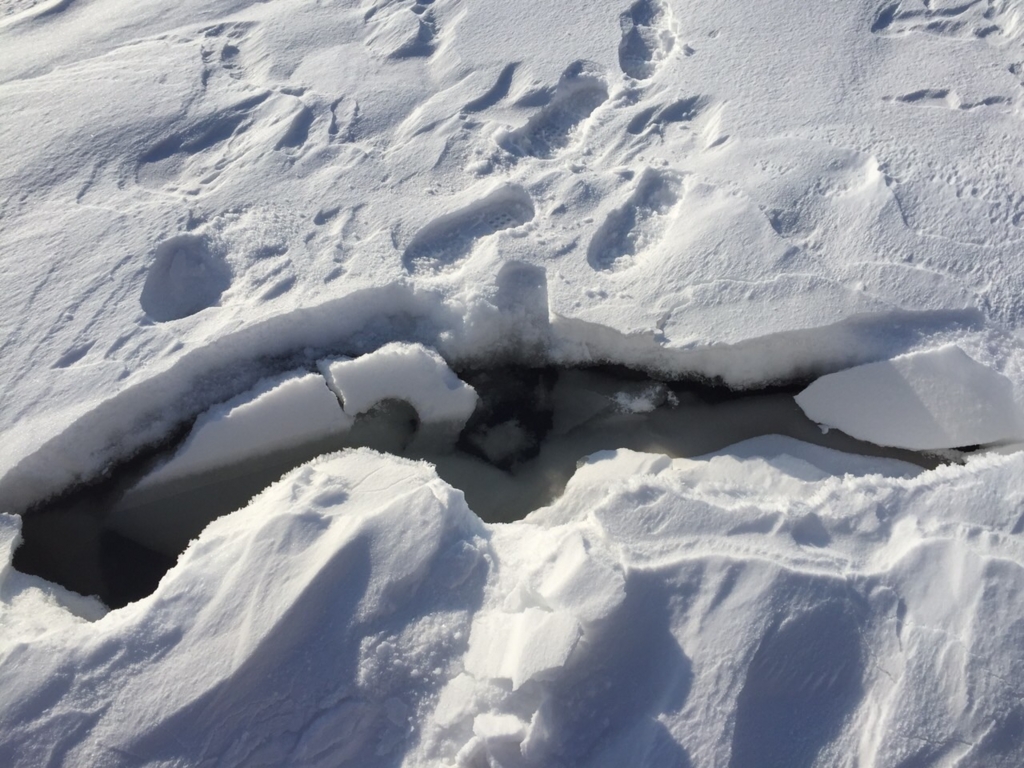 f:id:harimayatokubei:20160802191846j:plain