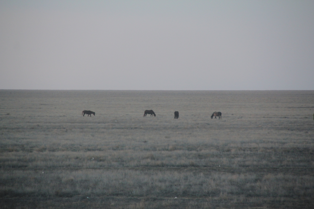 f:id:harimayatokubei:20170412181957j:plain