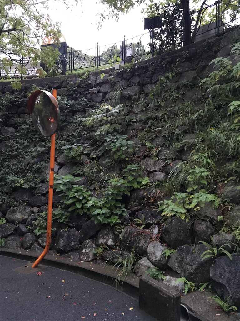 f:id:harimayatokubei:20190115002940j:image