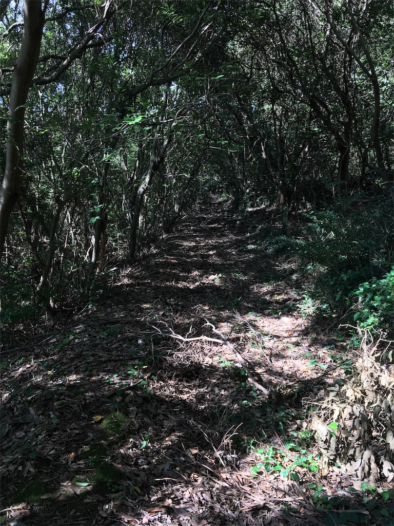 f:id:harimayatokubei:20190124232510j:image f:id:harimayatokubei:20190124232510j:image