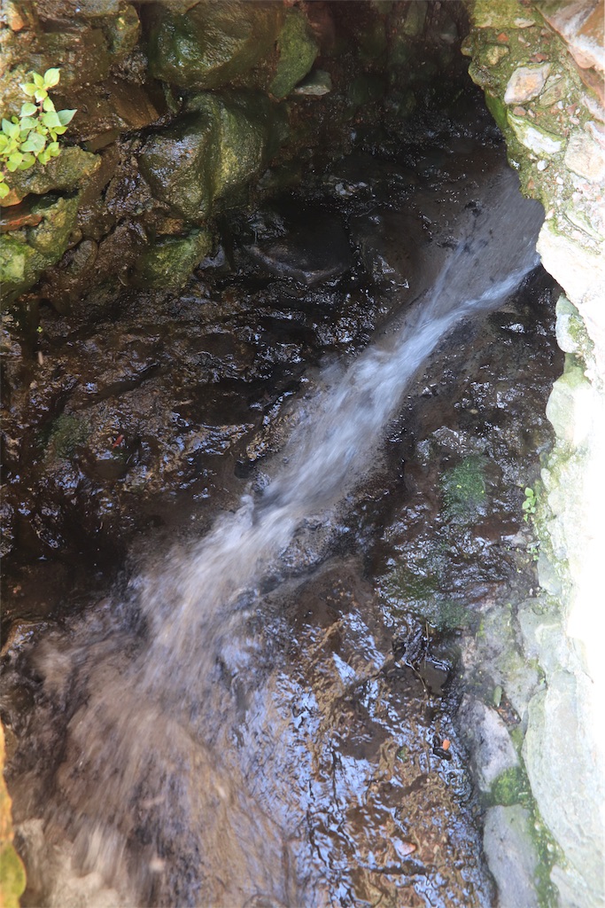 f:id:harimayatokubei:20190401193246j:image