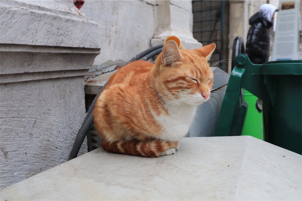 f:id:harimayatokubei:20190421215245j:image