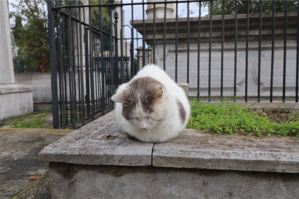 f:id:harimayatokubei:20190528201417j:image