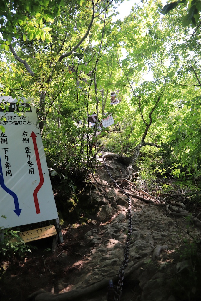 f:id:harimayatokubei:20190721185645j:image f:id:harimayatokubei:20190721185645j:image