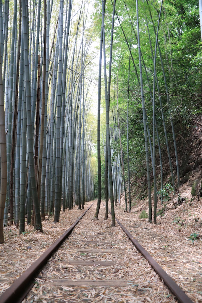 f:id:harimayatokubei:20190721185715j:image f:id:harimayatokubei:20190721185715j:image