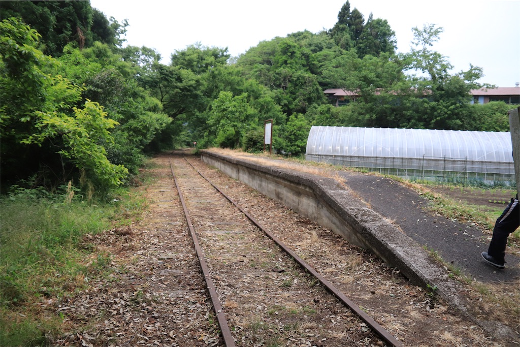 f:id:harimayatokubei:20190721185906j:image f:id:harimayatokubei:20190721185906j:image