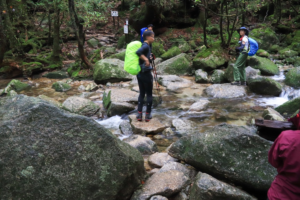 f:id:harimayatokubei:20200614002318j:image