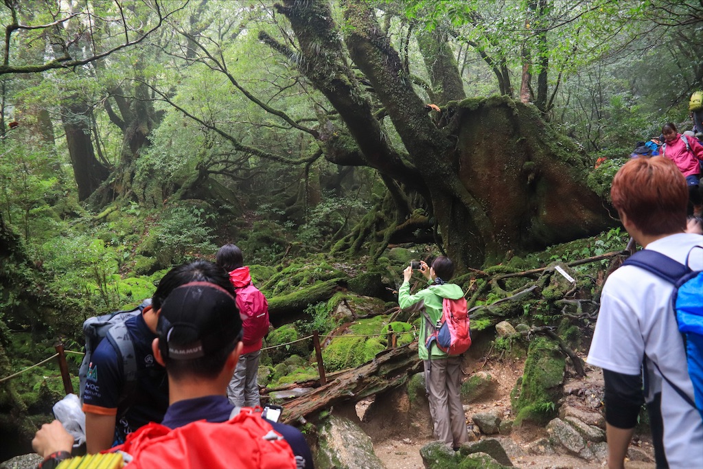 f:id:harimayatokubei:20200614002405j:image