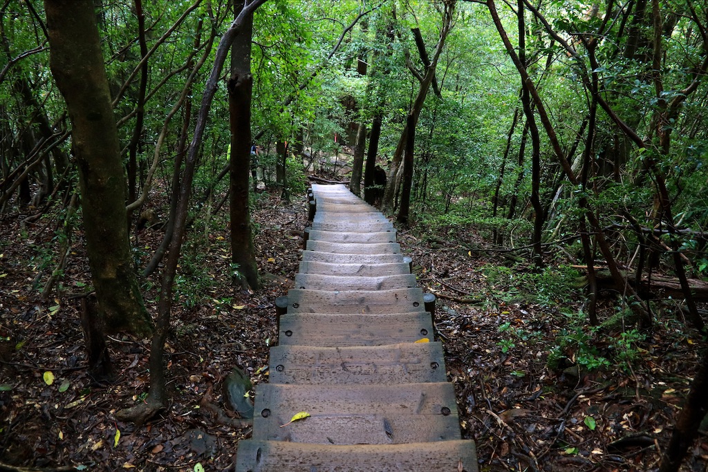 f:id:harimayatokubei:20200614002408j:image