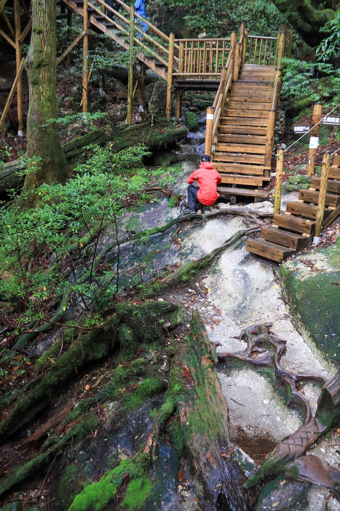 f:id:harimayatokubei:20200614002443j:image
