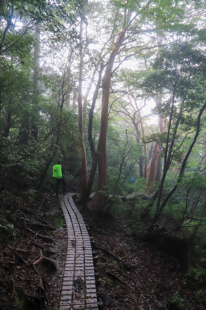 f:id:harimayatokubei:20200614002654j:image