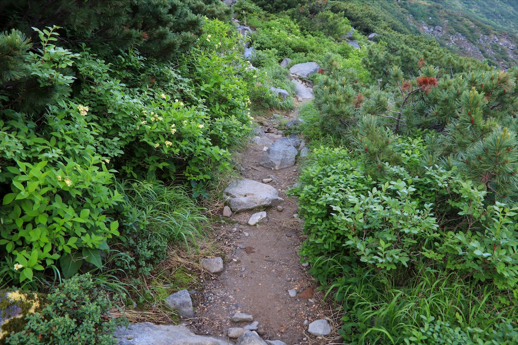 f:id:harimayatokubei:20200710222409j:image