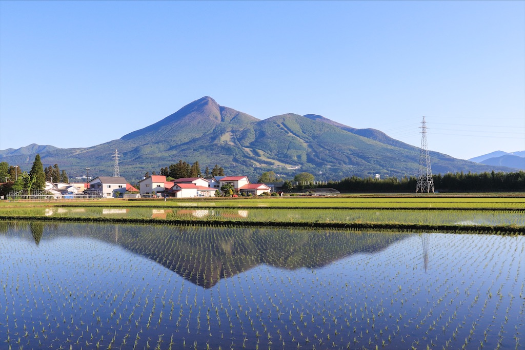 f:id:harimayatokubei:20200923122014j:image