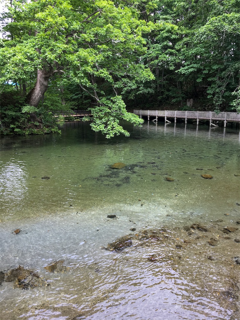 f:id:harimayatokubei:20200928230913j:image f:id:harimayatokubei:20200928230913j:image