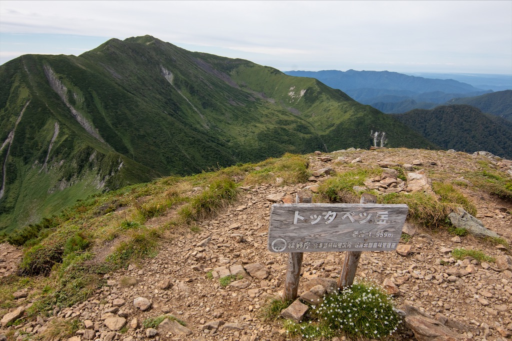 f:id:harimayatokubei:20201021000837j:image