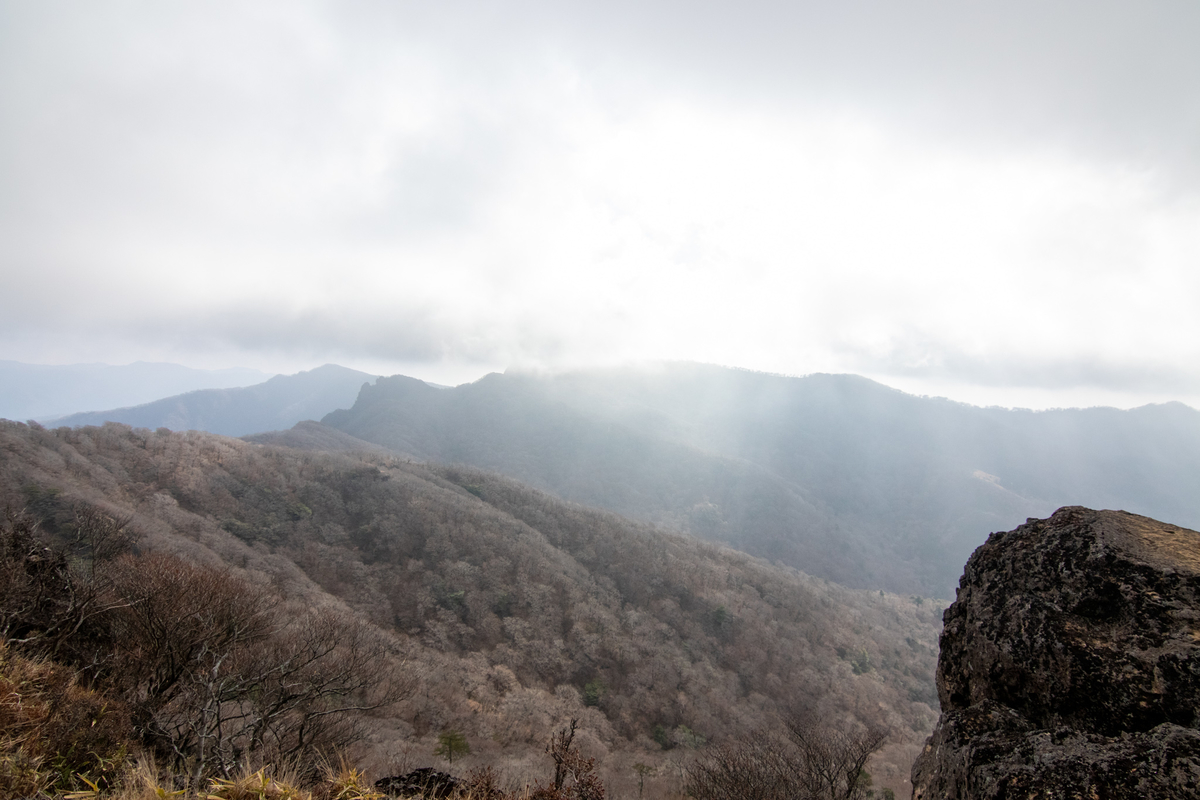 f:id:harimayatokubei:20201218114932j:plain