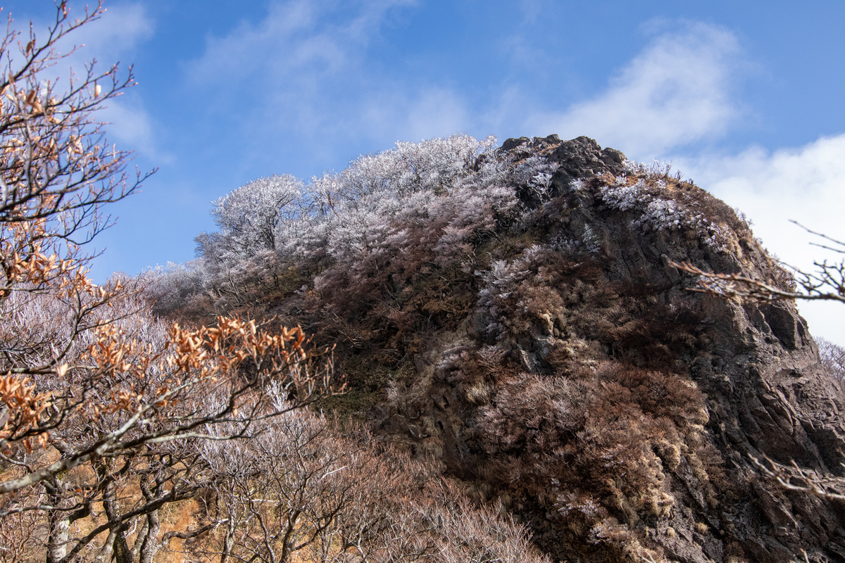 f:id:harimayatokubei:20201218114942j:plain