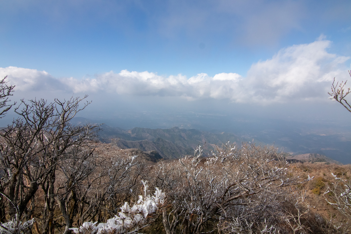 f:id:harimayatokubei:20201218115032j:plain