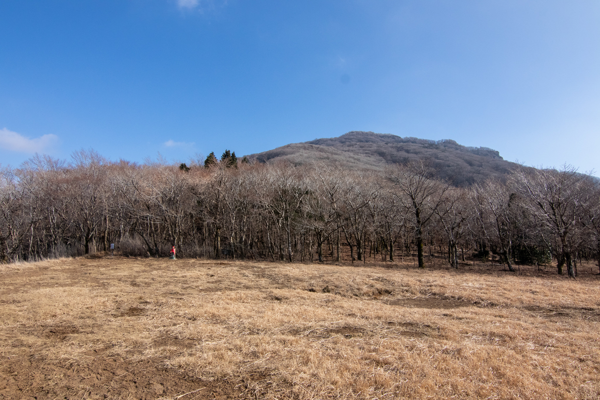 f:id:harimayatokubei:20201218115119j:plain