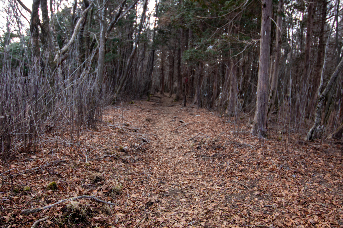 f:id:harimayatokubei:20201218115128j:plain