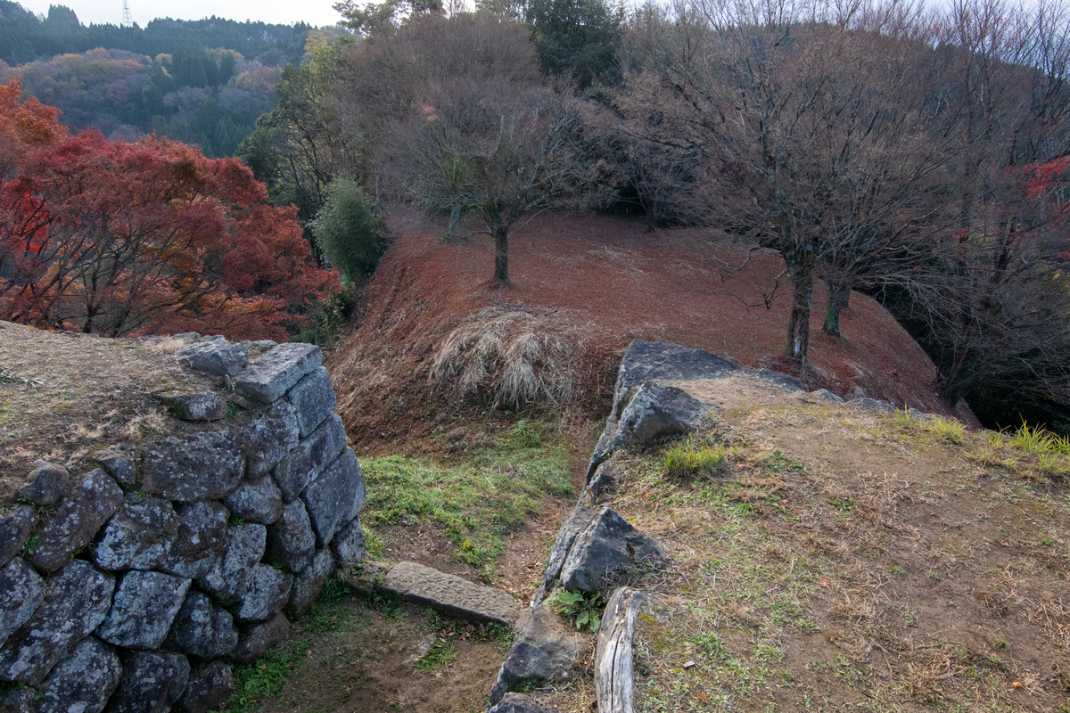 f:id:harimayatokubei:20201219005404j:plain