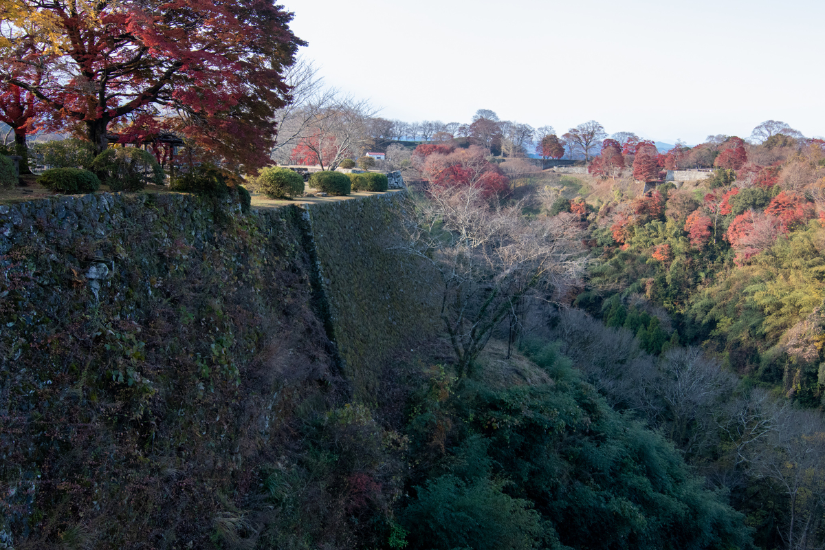 f:id:harimayatokubei:20201219005647j:plain