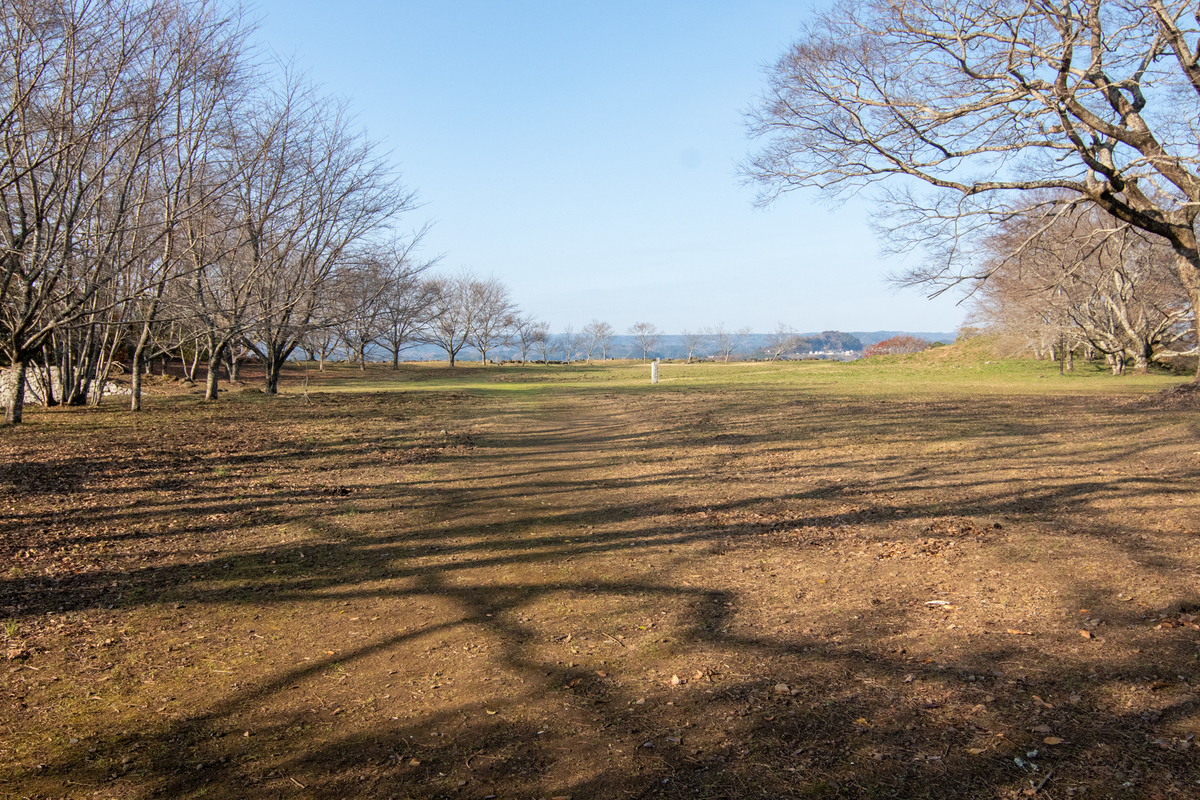 f:id:harimayatokubei:20201219005951j:plain