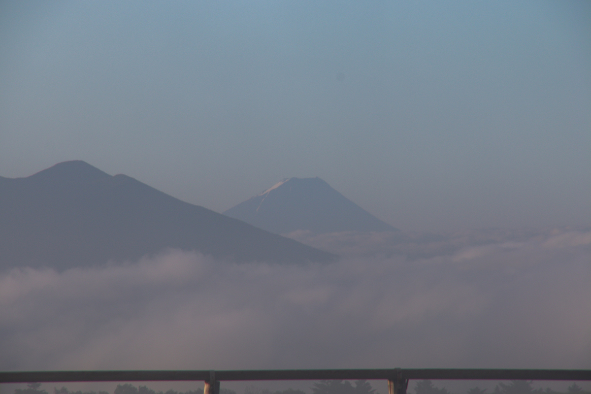f:id:harimayatokubei:20210121080920j:plain