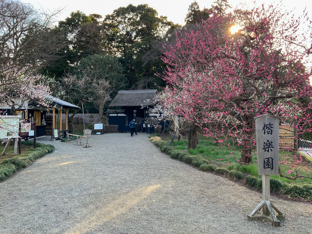 f:id:harimayatokubei:20210315214543j:plain